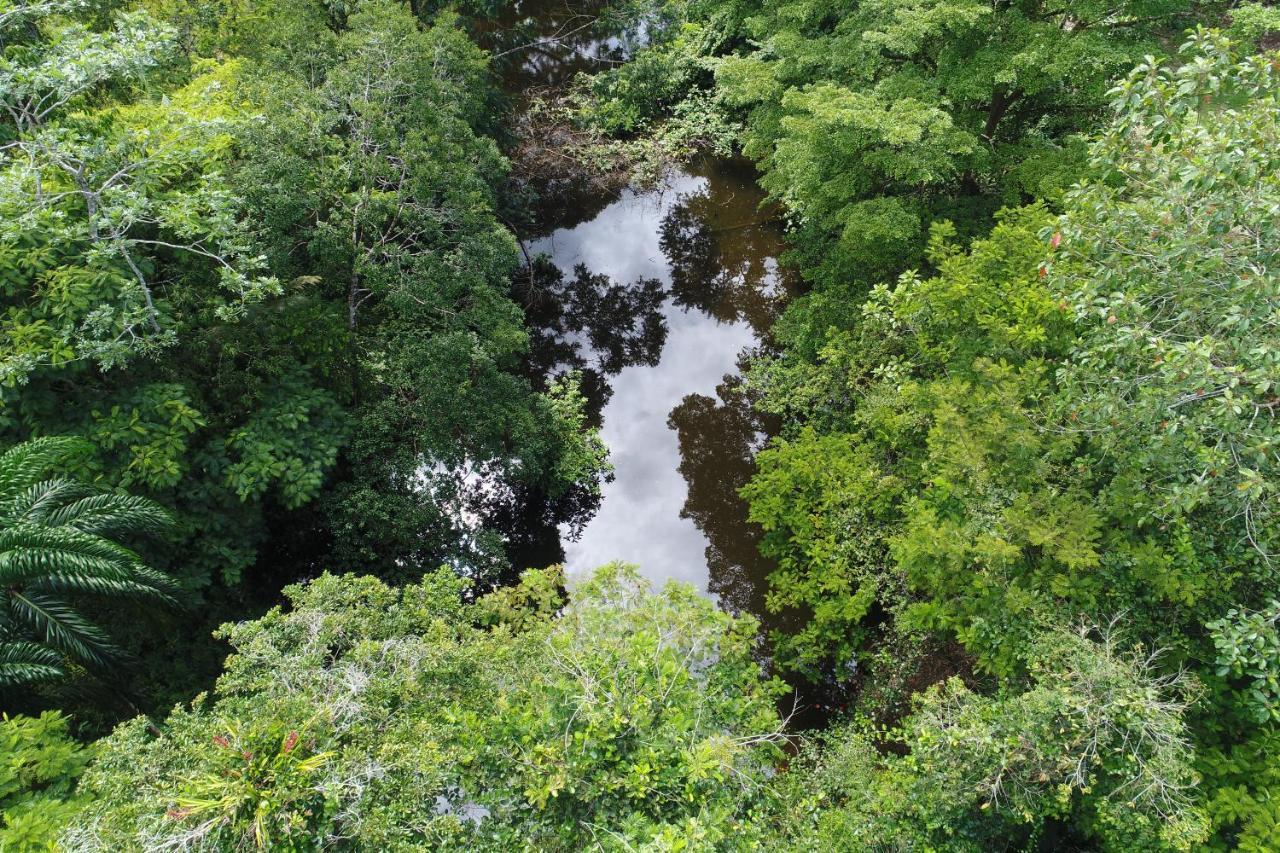 Hope Garden, Sarapiqui, We Connect You With The Sarapiqui Tropical Forest Εξωτερικό φωτογραφία