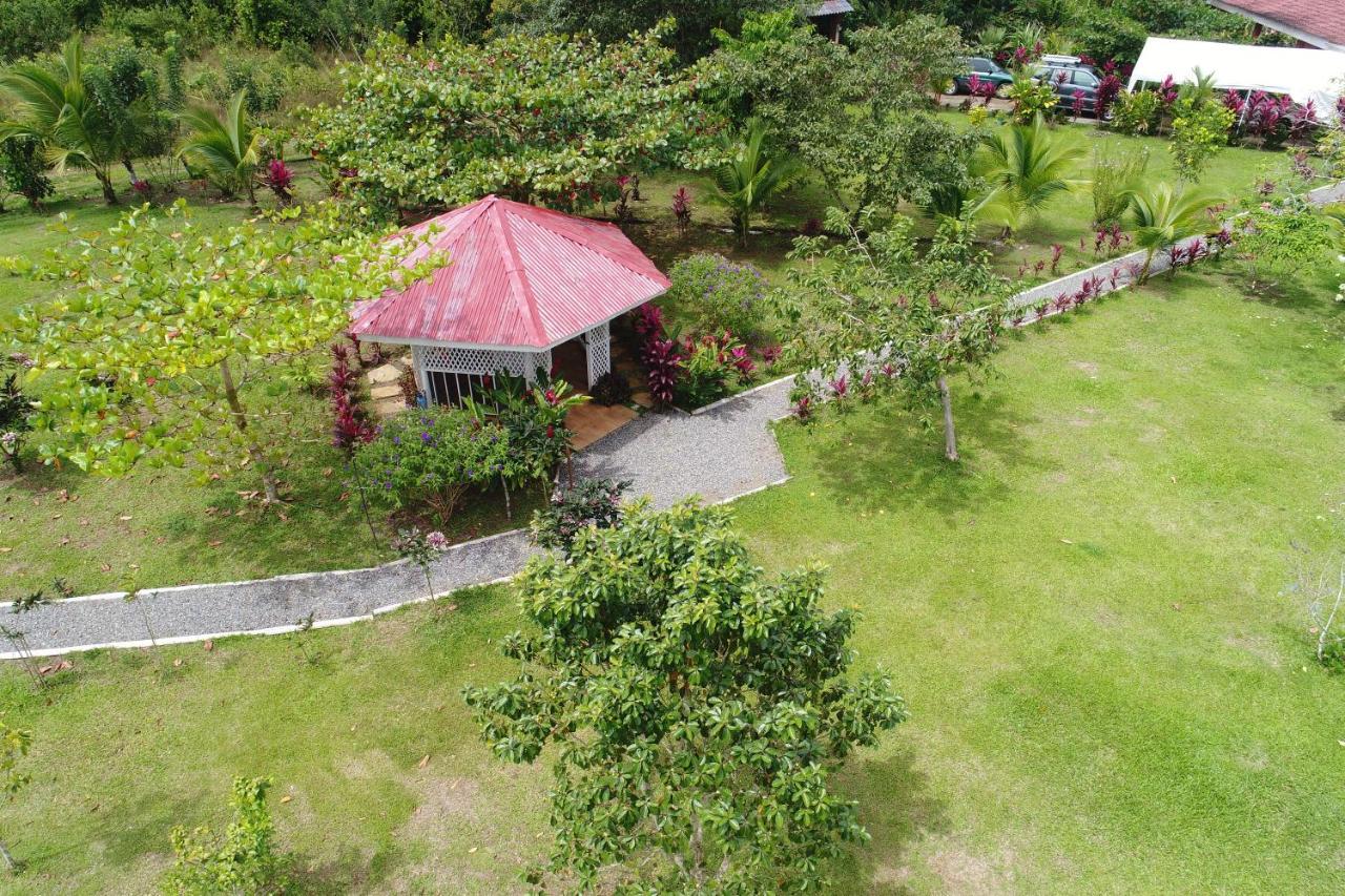 Hope Garden, Sarapiqui, We Connect You With The Sarapiqui Tropical Forest Εξωτερικό φωτογραφία
