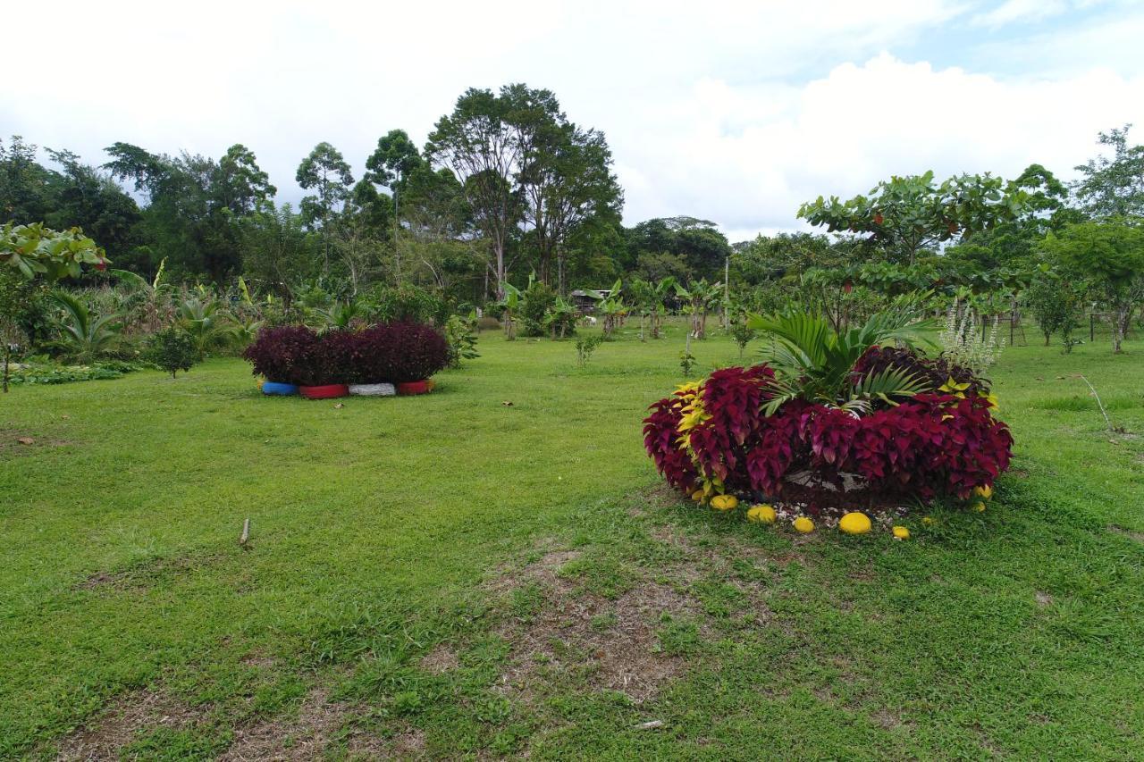 Hope Garden, Sarapiqui, We Connect You With The Sarapiqui Tropical Forest Εξωτερικό φωτογραφία