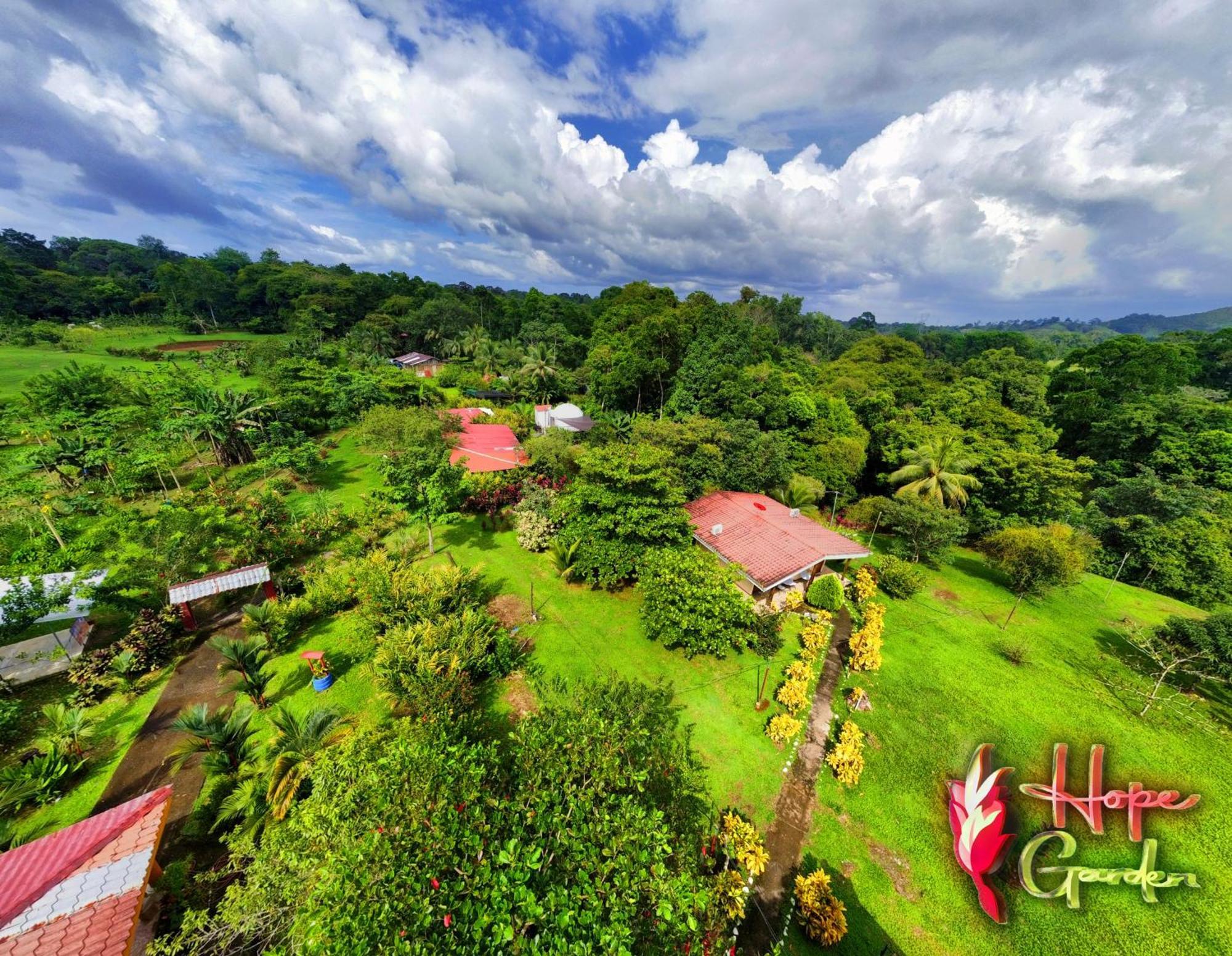 Hope Garden, Sarapiqui, We Connect You With The Sarapiqui Tropical Forest Εξωτερικό φωτογραφία