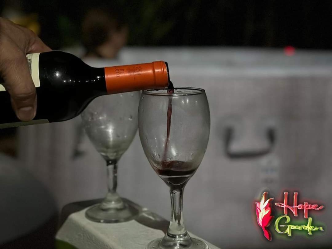 Hope Garden, Sarapiqui, We Connect You With The Sarapiqui Tropical Forest Εξωτερικό φωτογραφία