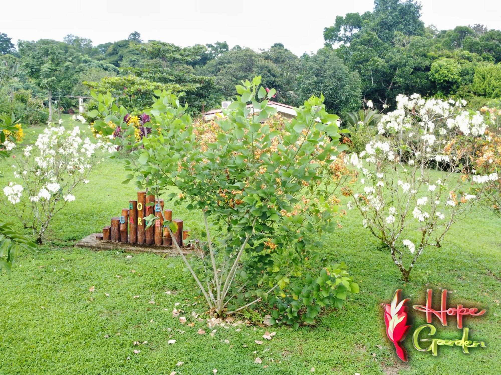 Hope Garden, Sarapiqui, We Connect You With The Sarapiqui Tropical Forest Εξωτερικό φωτογραφία