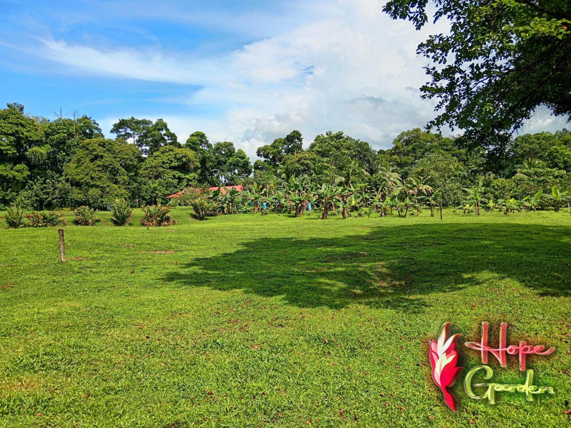 Hope Garden, Sarapiqui, We Connect You With The Sarapiqui Tropical Forest Εξωτερικό φωτογραφία
